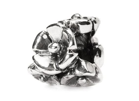 Charm Trollbeads in Silver NON TI SCORDAR DI ME - NON TI SCORDAR DI ME